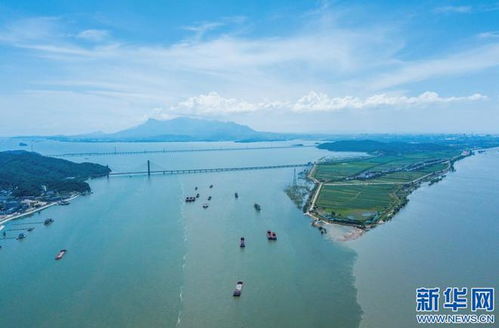 万里长江汇入，万里长江汇入东海还是南海