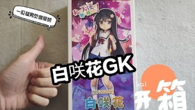 白咲花，白咲花壁纸