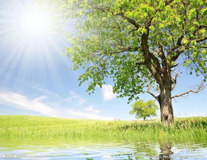 春天美景图片大全，春天美景图片大全自然景象