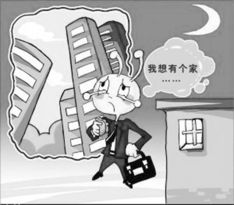 “蚁族”指的是什么?