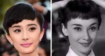 杨幂鼻子,杨幂鼻子是不是做的
