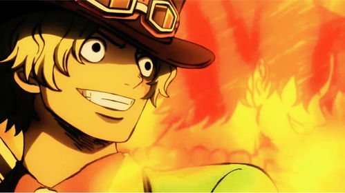 路飞的哥哥，路飞的哥哥艾斯