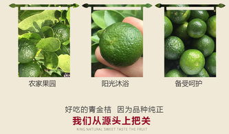 电视剧《走过幸福》的结局如何?