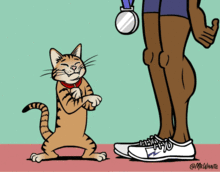 有哪些非常冷门的冷知识?