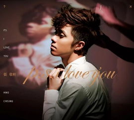 只是太爱你歌词