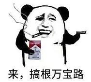 暴走熊猫，暴走熊猫官网下载
