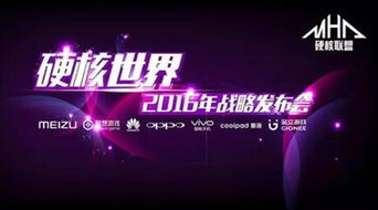 硬核联盟服是什么意思啊,是混服吗