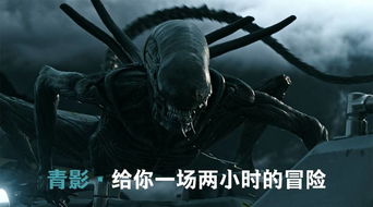 青影
