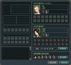 随身武将系统，随身武将系统小说