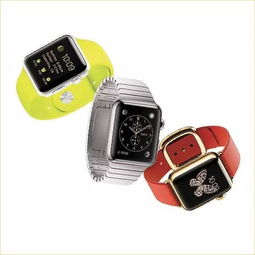 苹果watch，苹果watch手表有什么功能