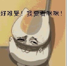 看咪咪