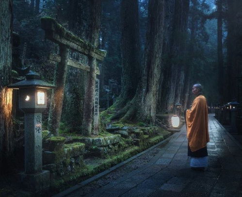 深的笔顺