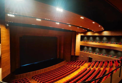 新剧场，新剧场版:终