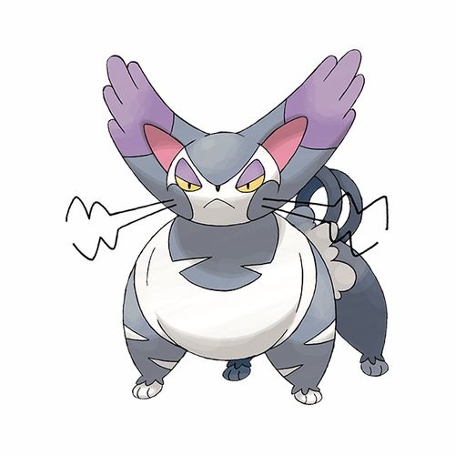 东施喵，东施喵进化三个阶段