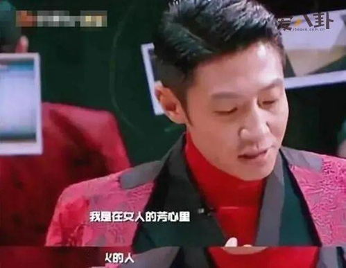 芳心纵火犯，芳心纵火犯是哪一期