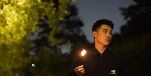 芳心纵火犯是什么意思?