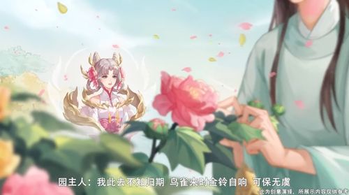 拒霜思，拒霜思多少钱