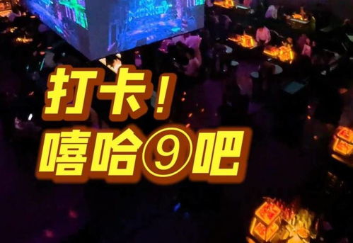 派对名字，派对名字英文