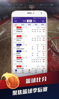 英锦赛比分在哪里看