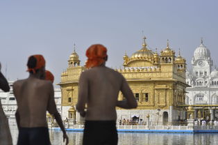 求达人秀起源于哪个国家?