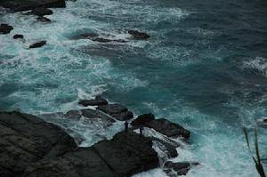 疯狗浪，疯狗浪经常发生吗
