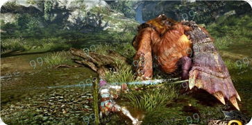 话说怪物猎人里面太刀技能袈裟斩,有什么用?