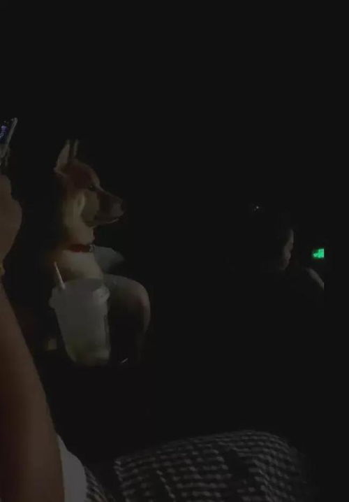 直男恶梦