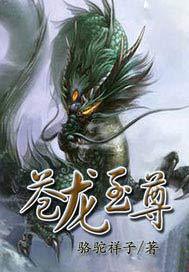 苍龙至尊，苍龙至尊全文免费阅读