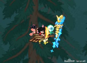 泰拉瑞亚海盗船，泰拉瑞亚海盗船怎么获得