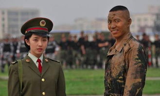 军事题材电视剧，军事题材电视剧排行榜