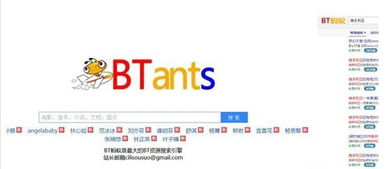 现在还有类似bt蚂蚁之类的搜索引擎吗?