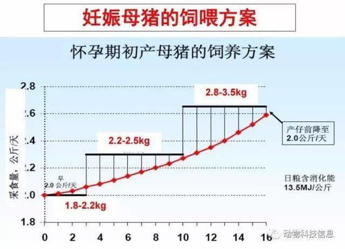 控制体，控制体系