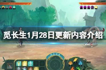 二八芳华是什么游戏