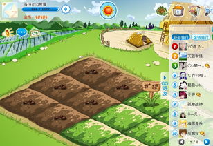 开心农场怎么赚金币