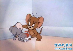 猫和老鼠恐怖事件，猫和老鼠恐怖事件图片