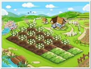 开心农场，开心农场下载安装