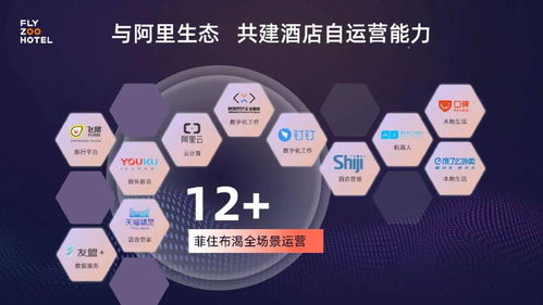 飞猪酒店管理系统,飞猪酒店管理系统关房态咋关