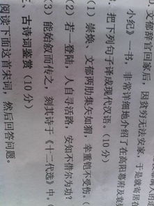 古文翻译在线翻译中文，古文翻译器在线翻译中文
