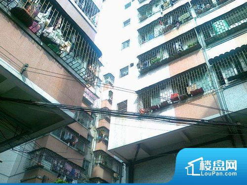 新村晶，新村晶_有码