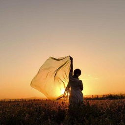 我的爱只能够让你一个人独自拥有是什么歌,够爱歌曲介绍