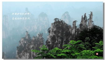 远看成岭侧成峰，远看成岭侧成峰原诗?