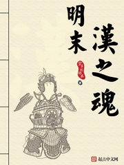明末汉之魂，明末汉之魂小说