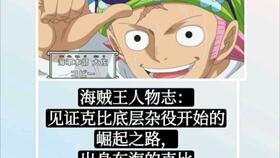 杂役的崛起，杂役的崛起uzi全部小说