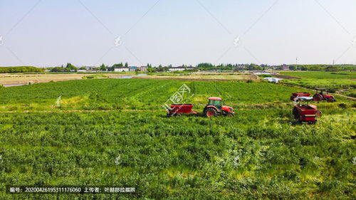 农业谚语有哪些