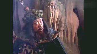 朵思大王，朵思大王算不算稀有卡