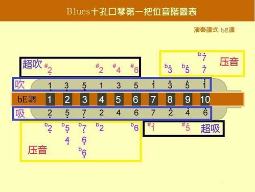 买口琴怎样选购,口琴的选择与购买