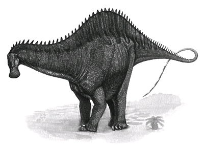 什么软件可以免费下载方舟大陆