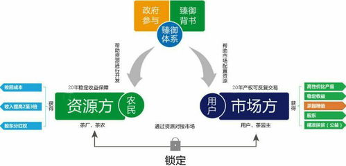 共享项目，共享项目有哪些可做