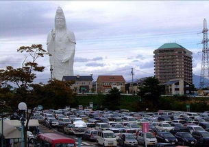 鲁迅在仙台学习了哪些课程?