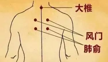 后穴升级大法，鸡米饭